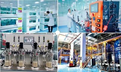 從營銷驅動到自主研發(fā) 漢和生物如何借力信息技術服務構建高效合成生物學細胞工廠